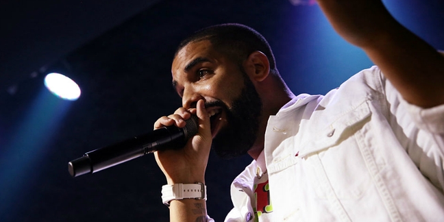 Watch Drake Give a Surprise Performance at Mad Decent Block Party in Brooklyn