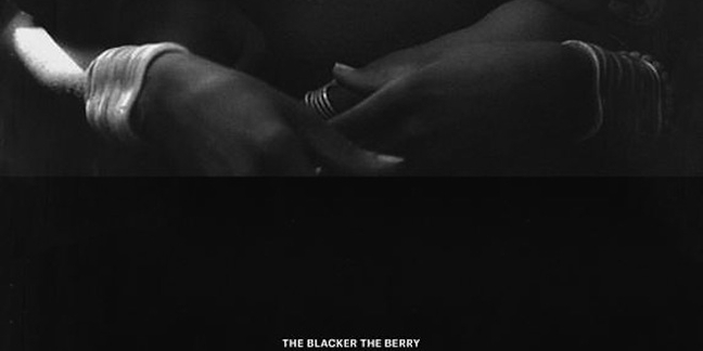 Kendrick Lamar Sued Over "The Blacker the Berry" Artwork