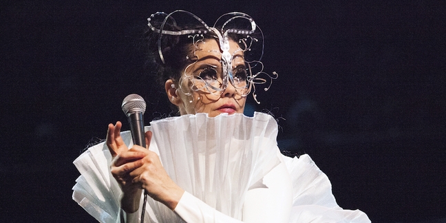 Björk Announces VR Exhibit, Orchestra Performance in L.A.