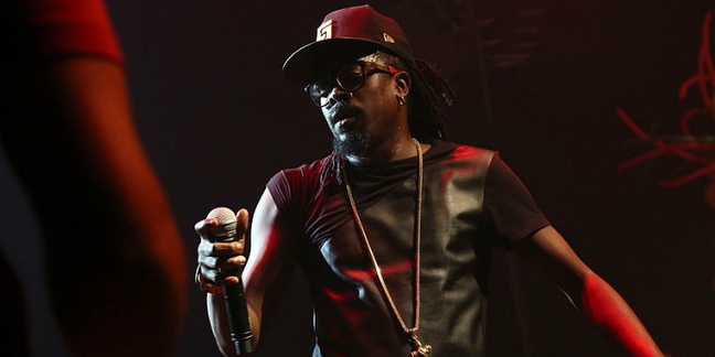 Beenie Man Not Performing at OVO Fest Due to Zika Virus