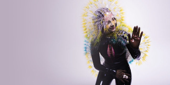 Björk Dissects "Stonemilker" on "Song Exploder" Podcast