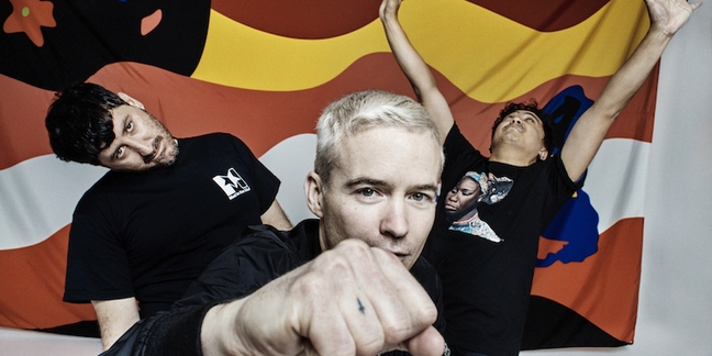 The Avalanches Announce New Album Wildflower