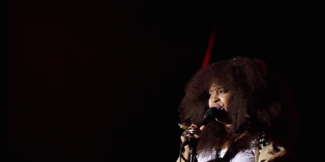 Erykah Badu and the Roots Cover Kanye, Wu-Tang, Nas, More in 17-Minute Roots Picnic Medley 