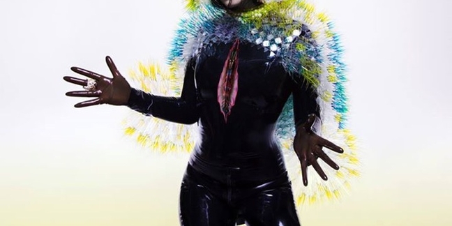 Björk Keeping Vulnicura Off Spotify: "It's About Respect, You Know?"
