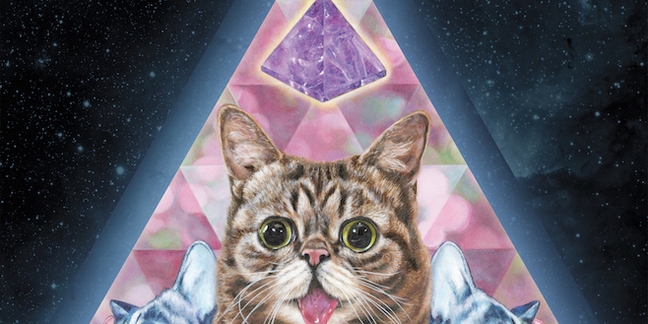 Lil Bub Shares "New Gravity", Chats With "Best Show"/Mountain Goats/Superchunk's Jon Wurster