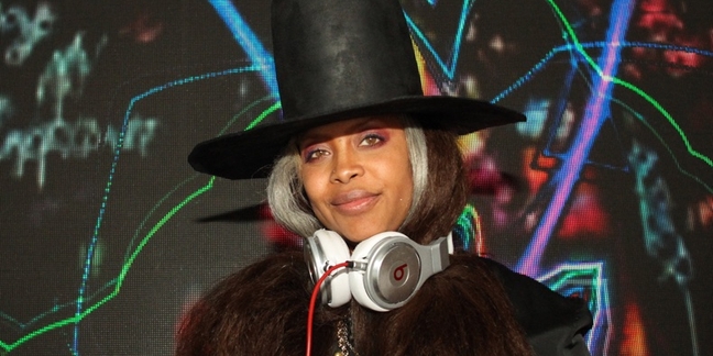 Erykah Badu Scoring Animated TV Show, Working With D.R.A.M.