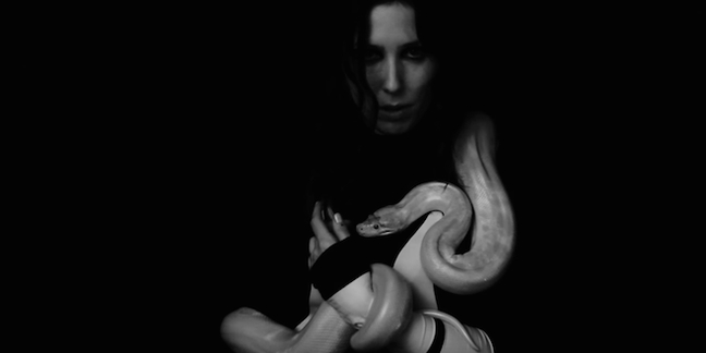 Chelsea Wolfe Wields Snakes in "Hypnos" Video