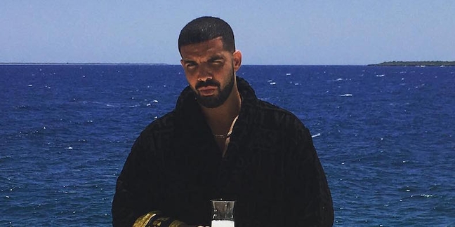 Drake Cancels Tour VIP Meet and Greets