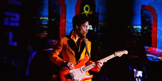 Prince Online Museum Launches