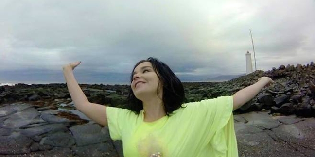 Björk Debuts Virtual Reality "Stonemilker" Video
