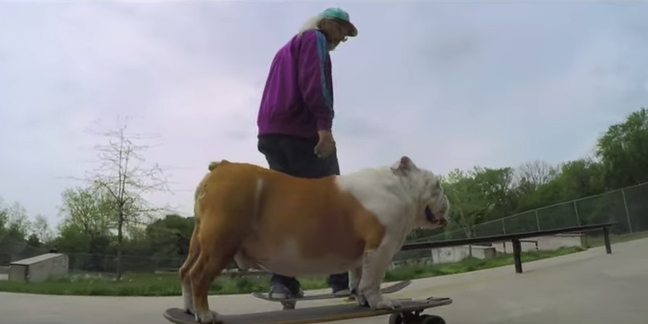 Watch J Mascis Skateboard With His Dog in Dinosaur Jr.’s “Tiny” Video