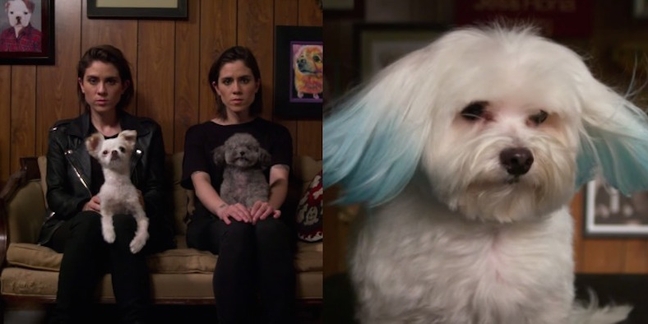 Tegan and Sara Share Mournful, Puppy-Filled "100X" Video: Watch