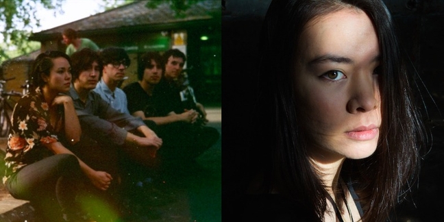 The Pains of Being Pure at Heart, Mutual Benefit, Mitski to Cover Full Albums for Vinyl Subscription Series