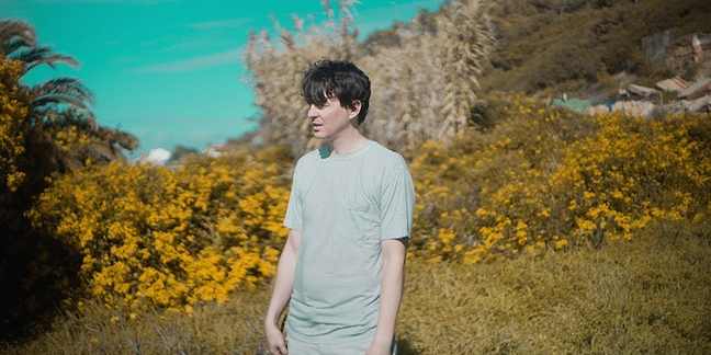 Panda Bear Releases "Swallow at the Hollow" Mix of Unreleased Material