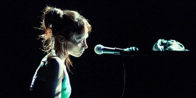 Fiona Apple Shares New Song "Container" For Forthcoming TV Show, The Affair