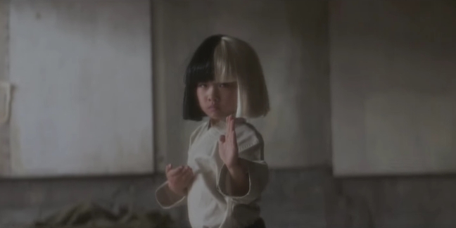 Sia Shares Martial Arts-Themed "Alive" Video