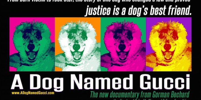 Neko Case, Aimee Mann, Norah Jones, Brian May, More Contribute Track to Anti-Animal Abuse Movie