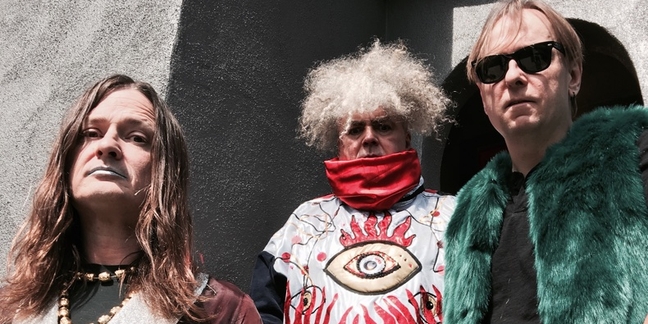 Melvins Cover "Take Me Out to the Ballgame": Listen