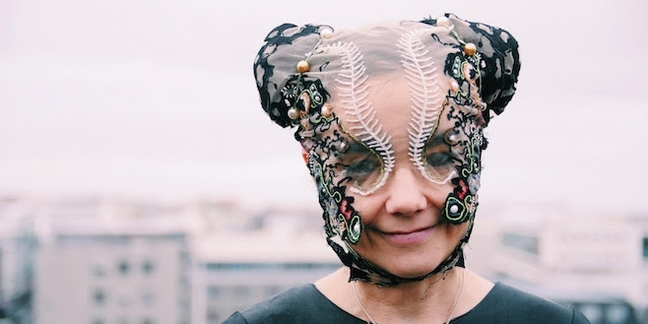 Björk Posts Video Calling for Global Action to Save Iceland's Highlands