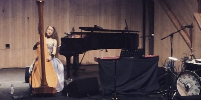 Joanna Newsom Performs "Anecdotes" and "A Pin-Light Bent" For the First Time