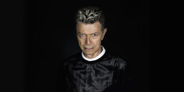 The Roots, The Mountain Goats, Perry Farrell, Cyndi Lauper to Play David Bowie Tribute Concert