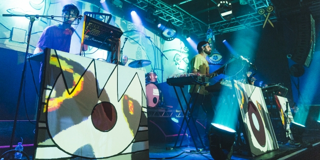 Animal Collective Hold Private Show for Two Underage Fans in Canada: Watch