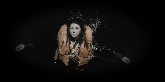 Watch Kate Bush’s New Video for “And Dream of Sheep”